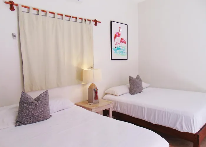 Hotel Macorina